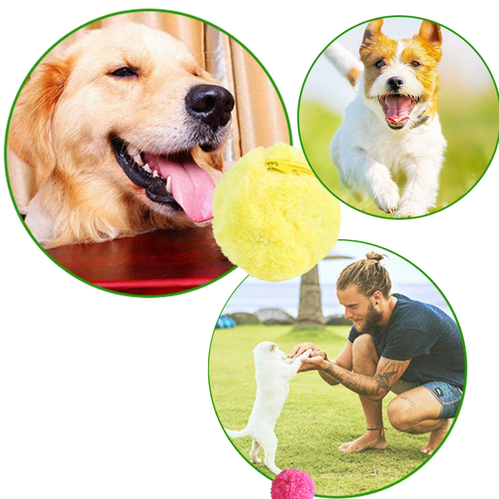 Pelota interactiva automática para perros, pelota malvada para jardín,  interior y exterior Verde ama Yuyangstore Bola rodante automática