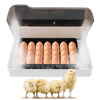 Incubadora de huevos automatica