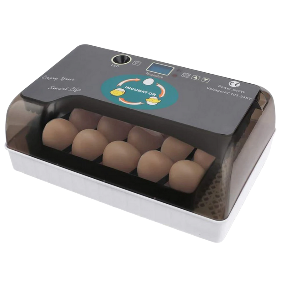 Incubadora de huevos automatica