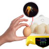 Mini incubadora de huevos