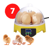 Mini incubadora de huevos