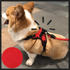 Arnés reflectante para perros con sistema ajustable - Ozayti