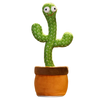 Loro Cactus Parlante - Ozayti