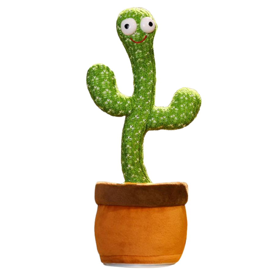 Loro Cactus Parlante - Ozayti