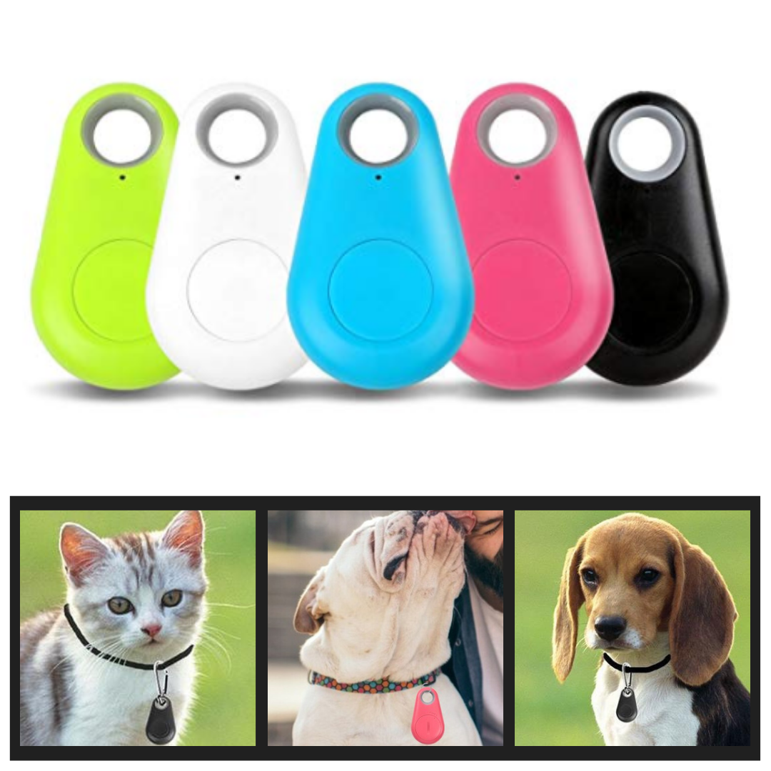Collar Rastreador para Gatos y Perros con Sistema Bluetooth ( GPS) – Kliki