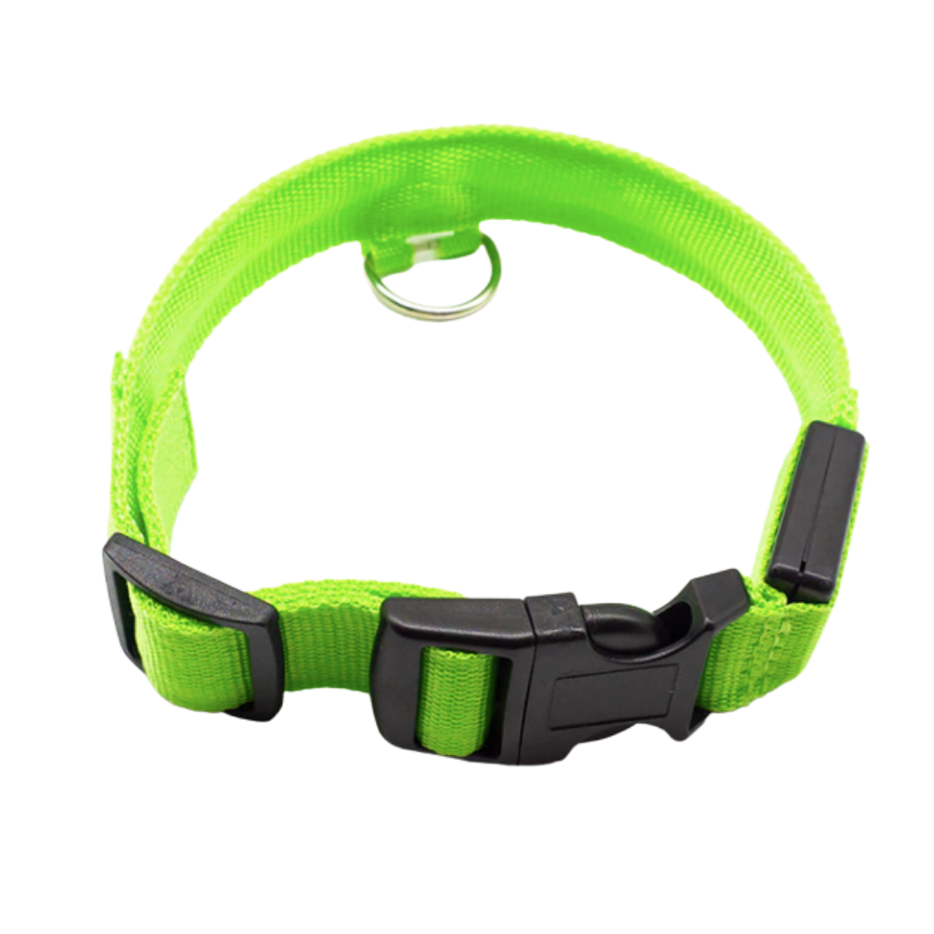  PetIsay Luces para collares de perro – 100% impermeable – USB  recargable – Collar LED ultra brillante luz de seguridad para caminar por  la noche, correr, ciclismo, verde : Productos para Animales