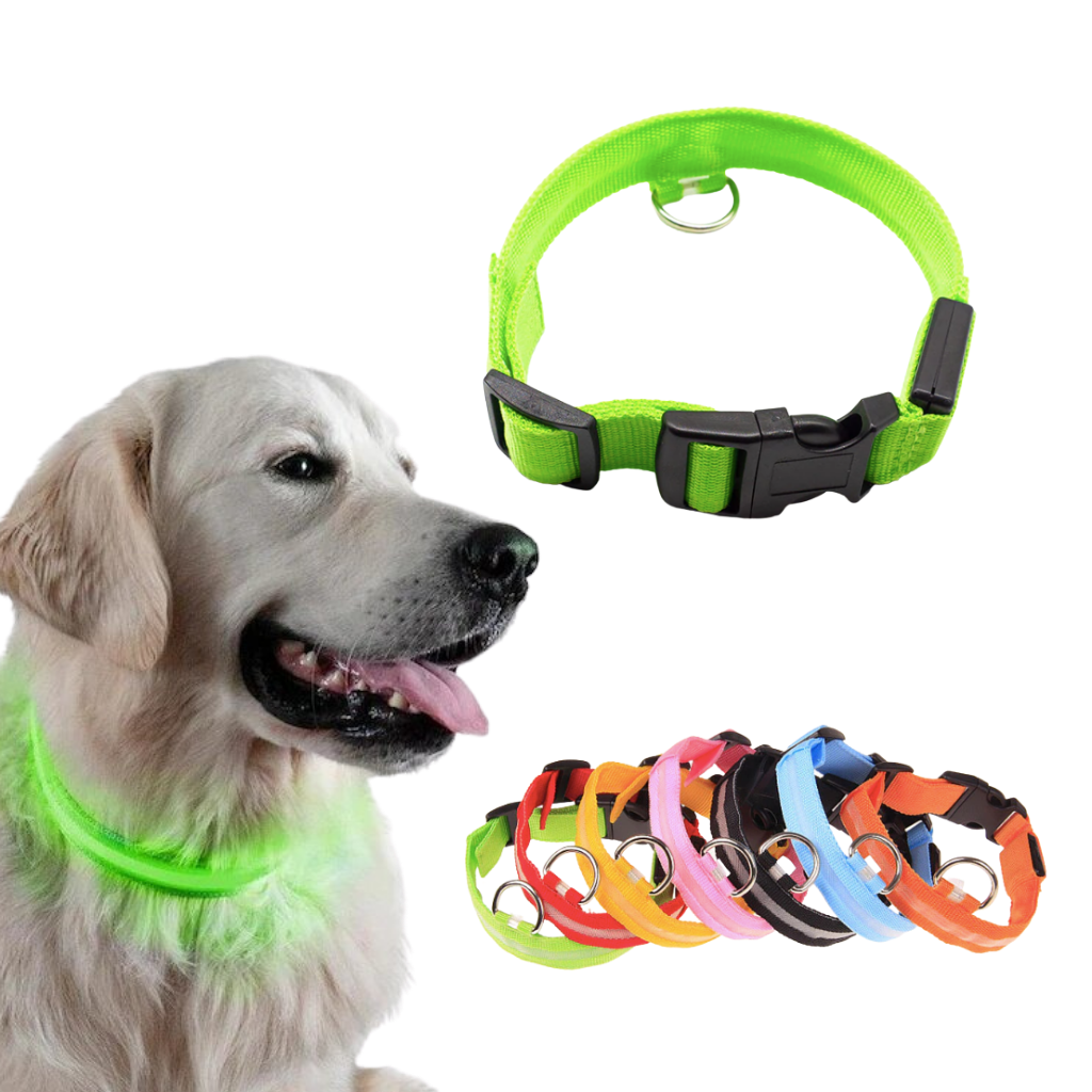 PZRLit Collar Luminoso Perro Recargable con 3 Modos de iluminación Collar  Luz Perro Noche de Seguridad, Ajustable para Cachorros Pequeños, Medianos y