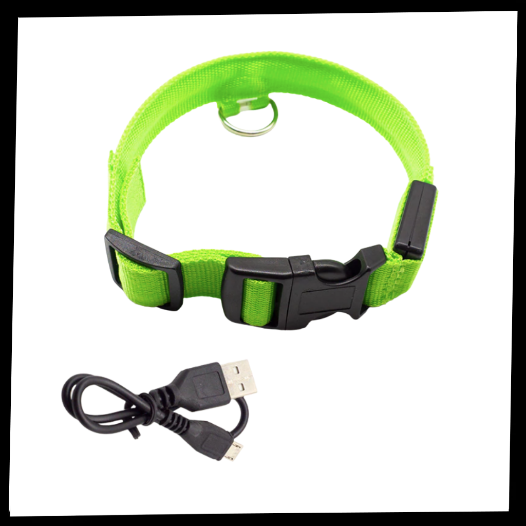 PetIsay Luces para collares de perro – 100% impermeable – USB  recargable – Collar LED ultra brillante luz de seguridad para caminar por  la noche, correr, ciclismo, verde : Productos para Animales
